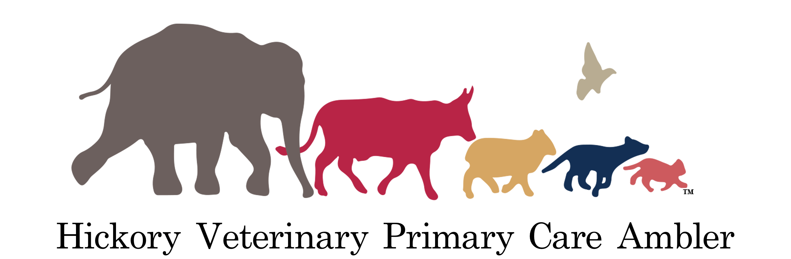 Hickory Veterinary Primary Care Ambler, PA