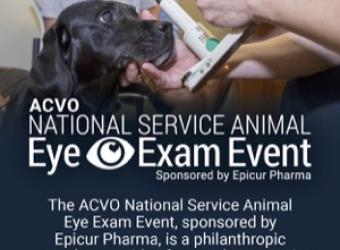 Free Eye Exams for Service and Working Animals throughout the month of May!